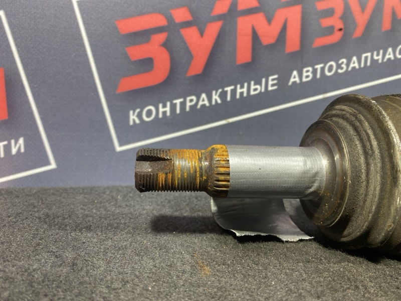 Привод, 7000 рублей, Солонцы