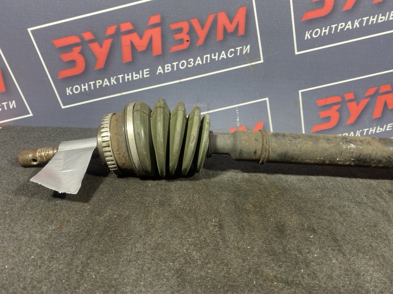 Привод, 3500 рублей, Солонцы