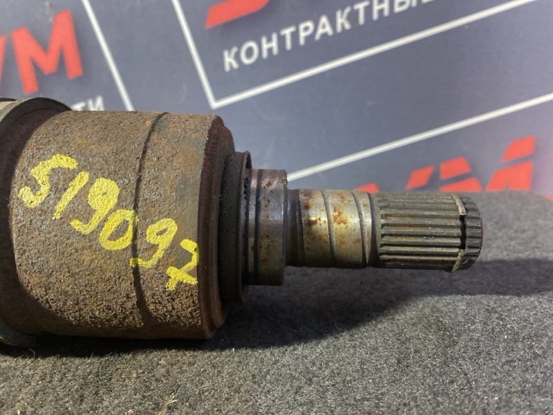 Привод, 3500 рублей, Солонцы