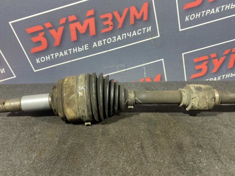 Привод, 3000 рублей, Солонцы