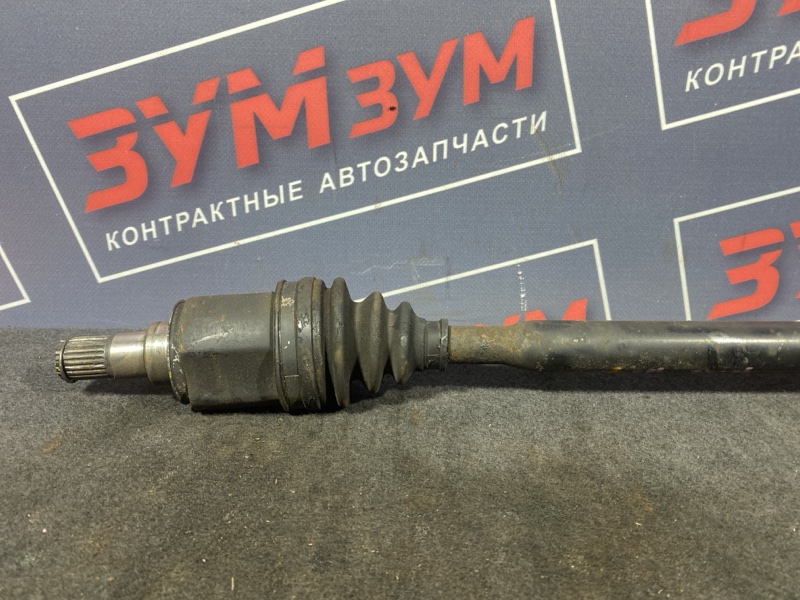 Привод, 3000 рублей, Солонцы