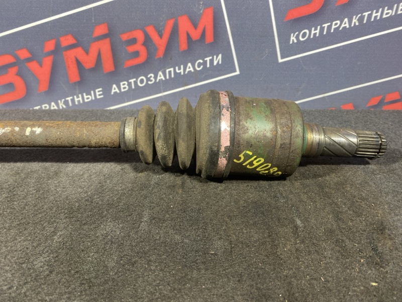 Привод, 1000 рублей, Солонцы