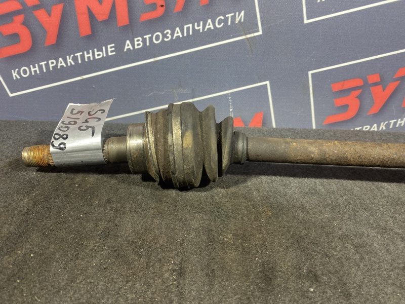 Привод, 1000 рублей, Солонцы