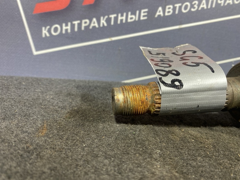 Привод, 1000 рублей, Солонцы