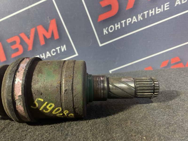 Привод, 1000 рублей, Солонцы