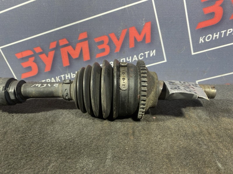 Привод, 3500 рублей, Солонцы