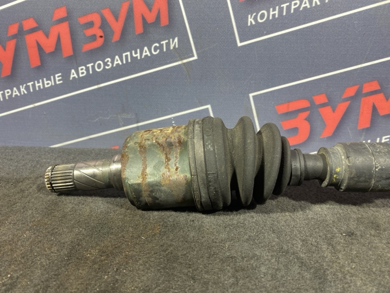 Привод, 3500 рублей, Солонцы