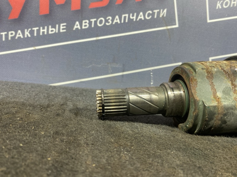Привод, 3500 рублей, Солонцы