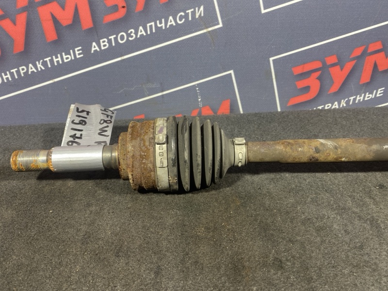 Привод, 3000 рублей, Солонцы