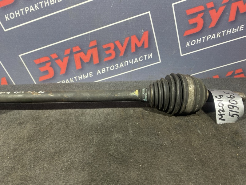 Привод, 8000 рублей, Солонцы