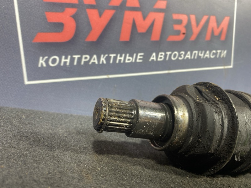 Привод, 8000 рублей, Солонцы