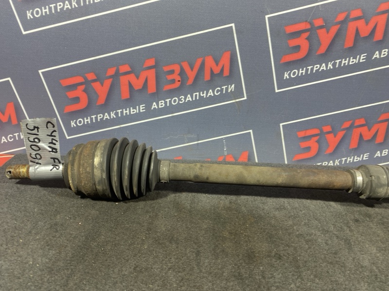 Привод, 1900 рублей, Солонцы