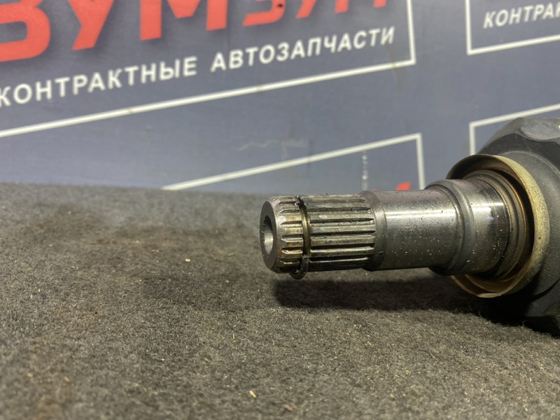 Привод, 6000 рублей, Солонцы