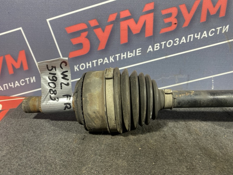 Привод, 12000 рублей, Солонцы