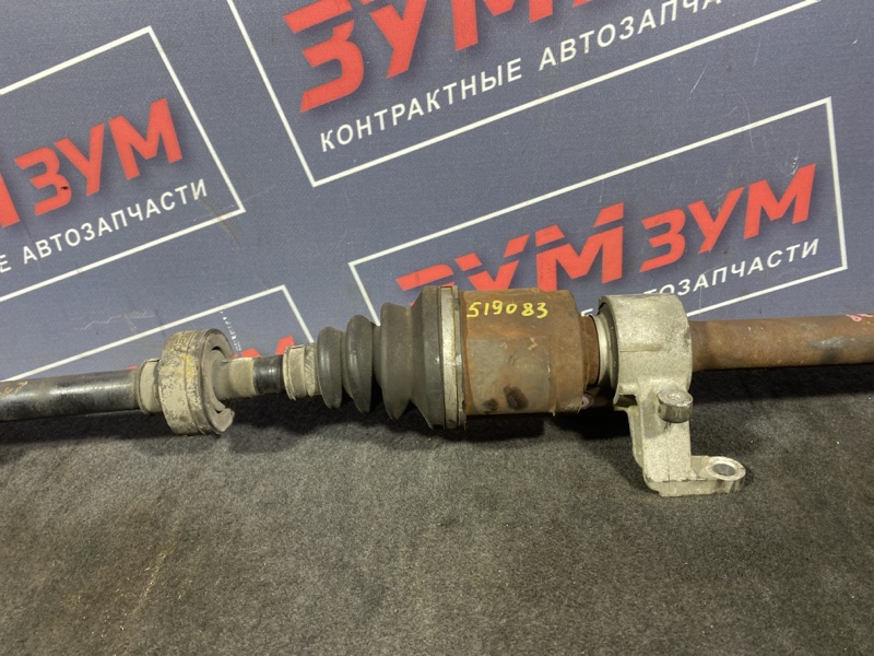 Привод, 12000 рублей, Солонцы