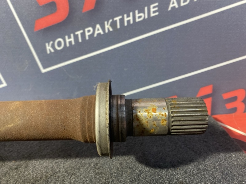 Привод, 12000 рублей, Солонцы
