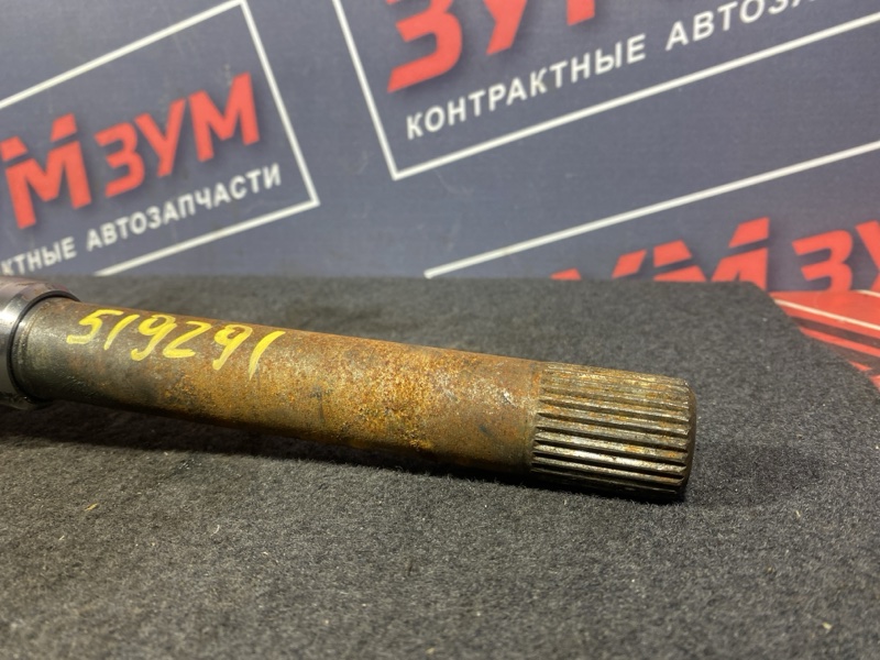 Привод, 10000 рублей, Солонцы