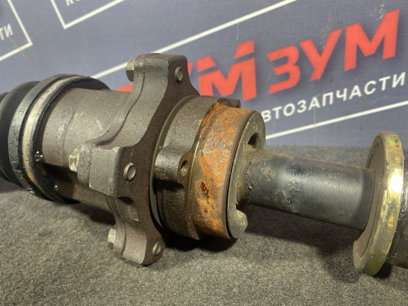 Привод, 10000 рублей, Солонцы