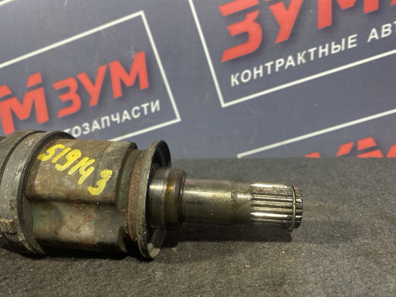 Привод, 800 рублей, Солонцы