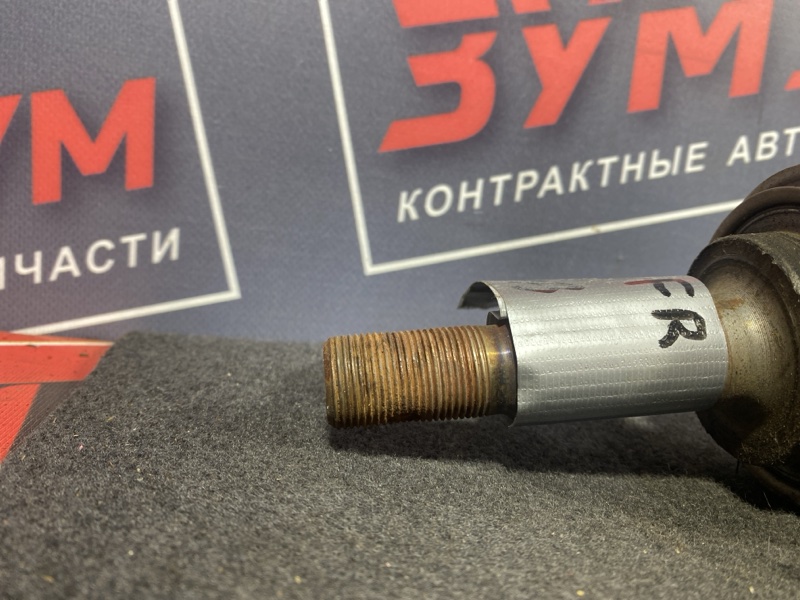 Привод, 8500 рублей, Солонцы