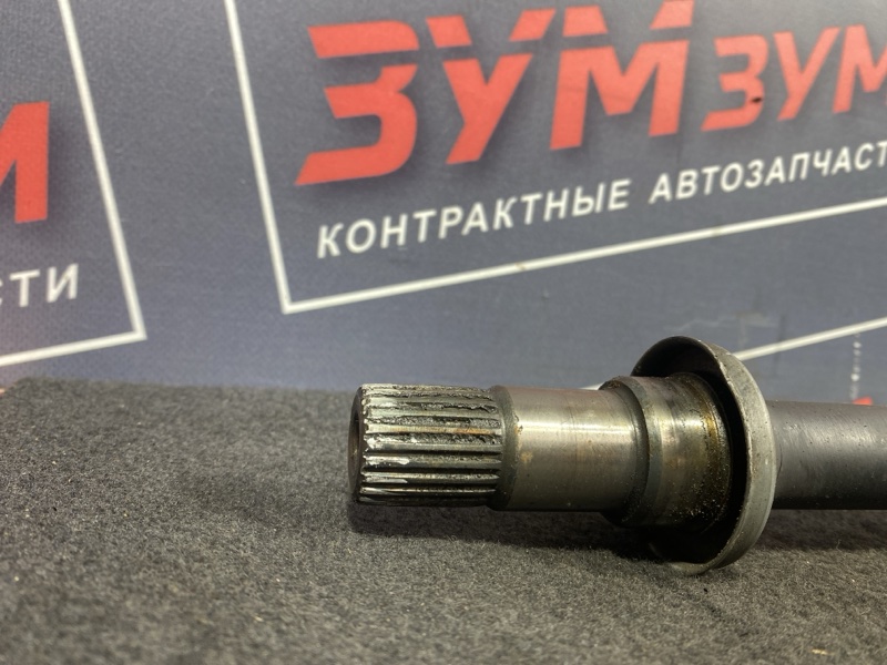 Привод, 2500 рублей, Солонцы
