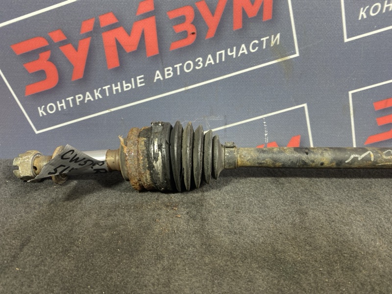 Привод, 800 рублей, Солонцы