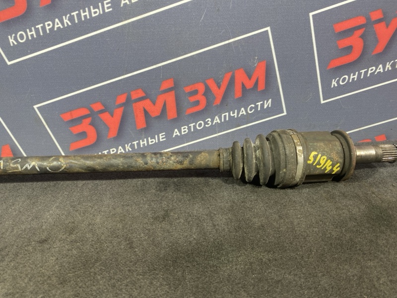 Привод, 800 рублей, Солонцы