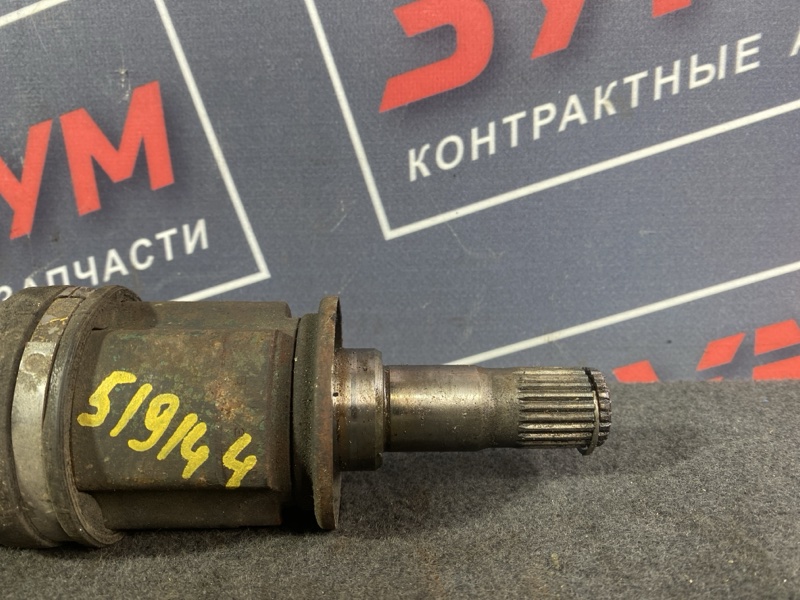 Привод, 800 рублей, Солонцы