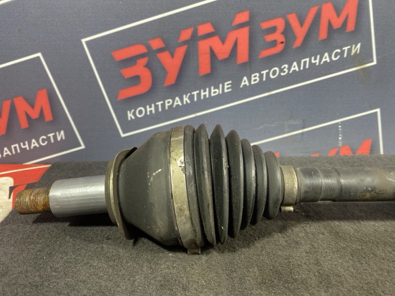 Привод, 8000 рублей, Солонцы