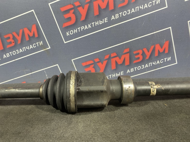 Привод, 8000 рублей, Солонцы