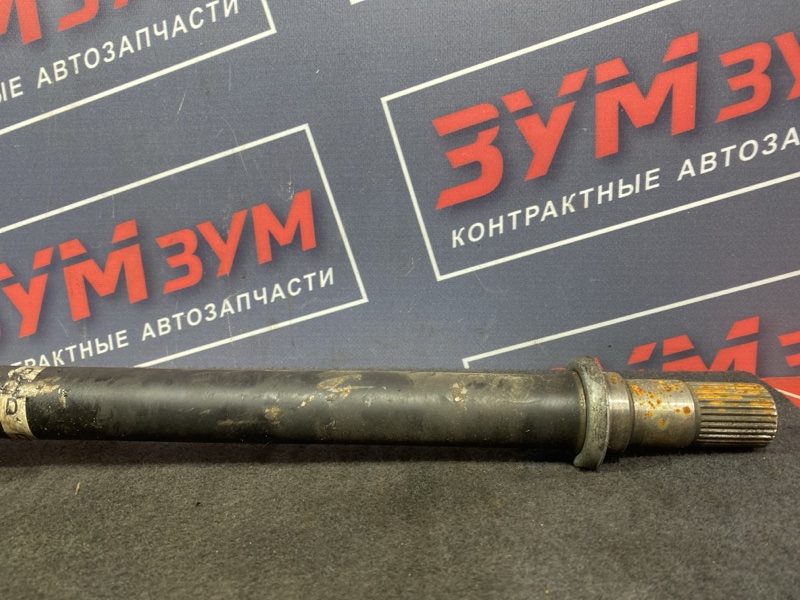 Привод, 8000 рублей, Солонцы