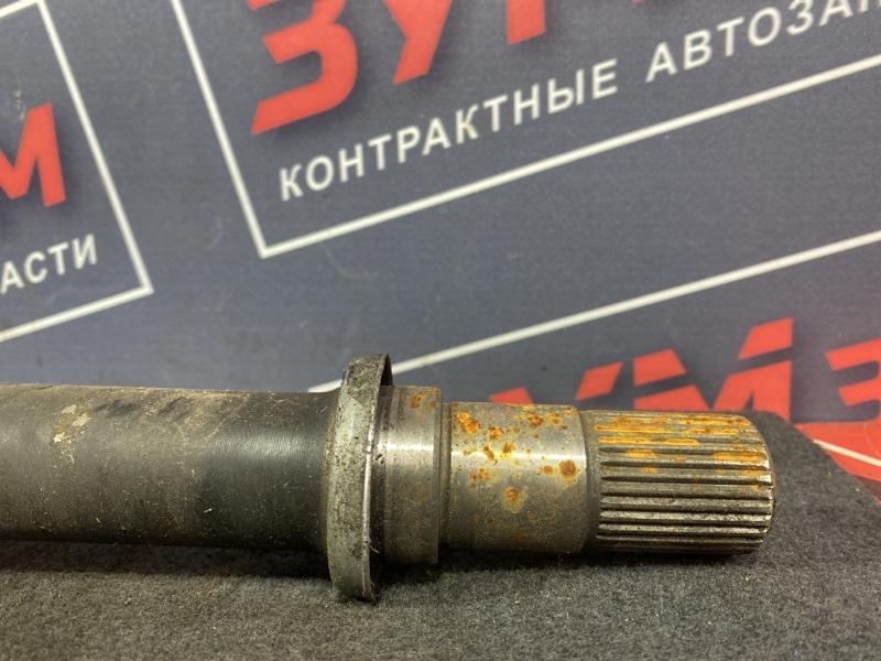 Привод, 8000 рублей, Солонцы
