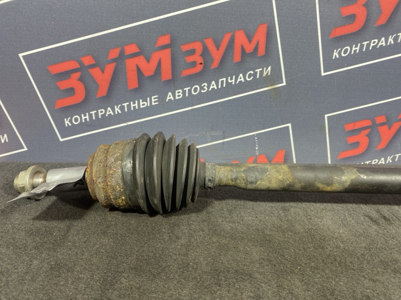Привод, 7000 рублей, Солонцы