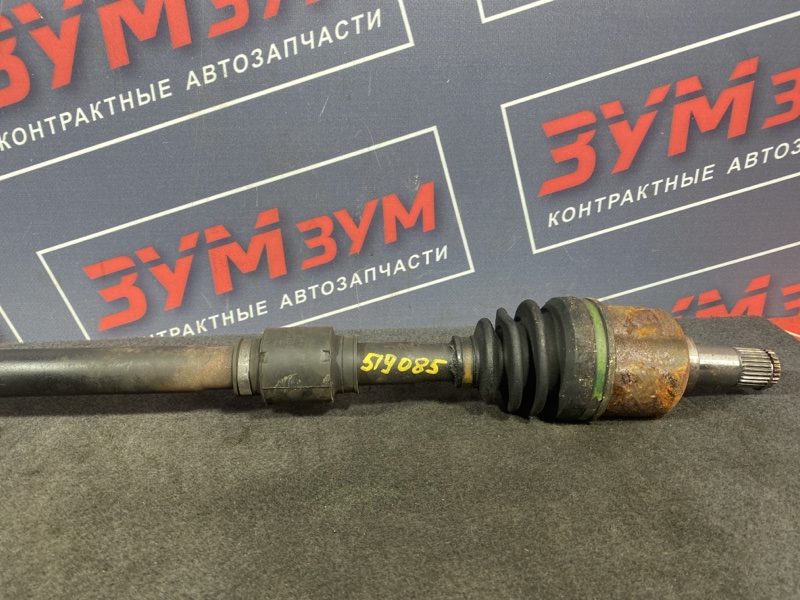 Привод, 7000 рублей, Солонцы