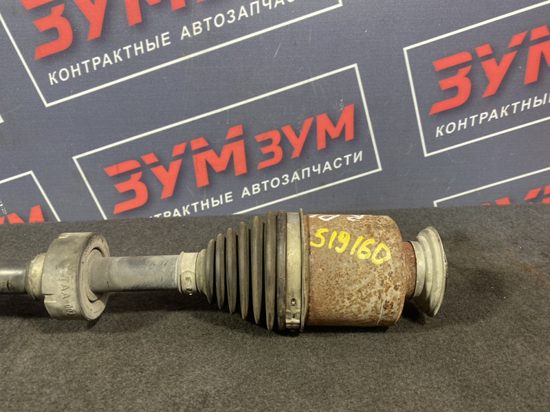 Привод, 13000 рублей, Солонцы