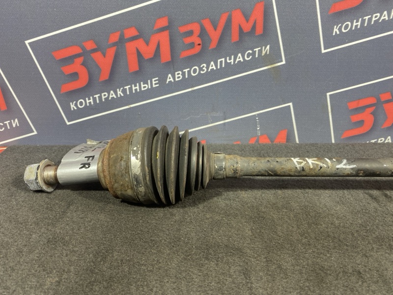 Привод, 600 рублей, Солонцы