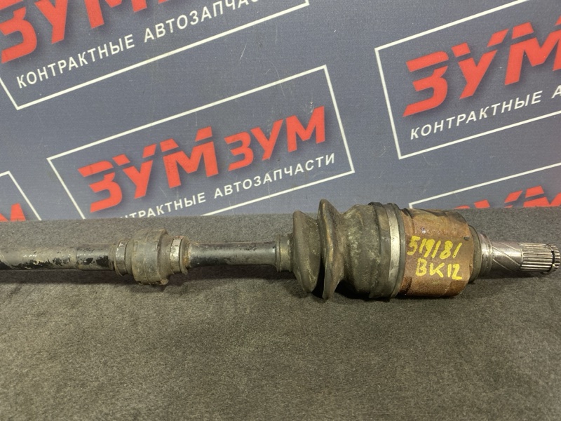 Привод, 600 рублей, Солонцы