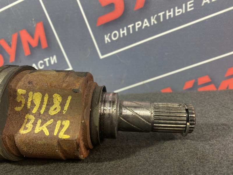Привод, 600 рублей, Солонцы