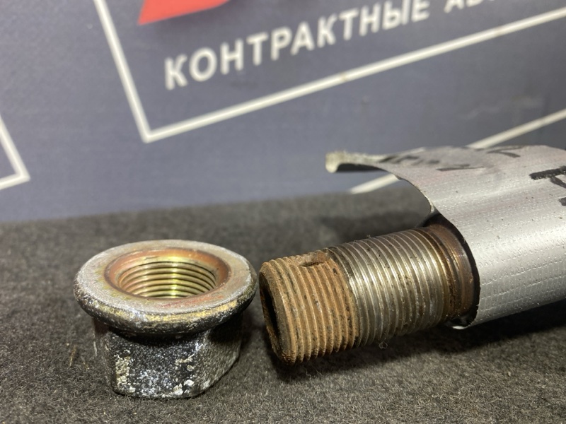 Привод, 600 рублей, Солонцы