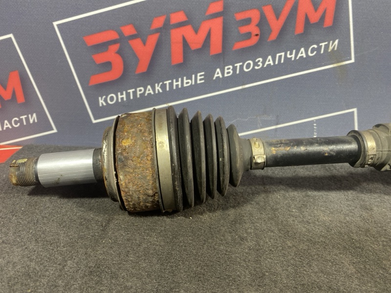 Привод, 12000 рублей, Солонцы