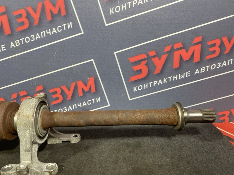 Привод, 12000 рублей, Солонцы