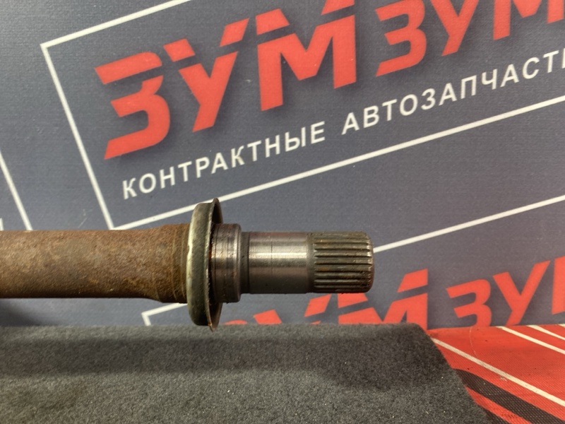 Привод, 12000 рублей, Солонцы