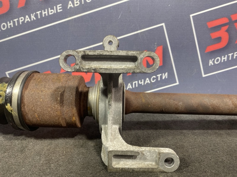 Привод, 12000 рублей, Солонцы