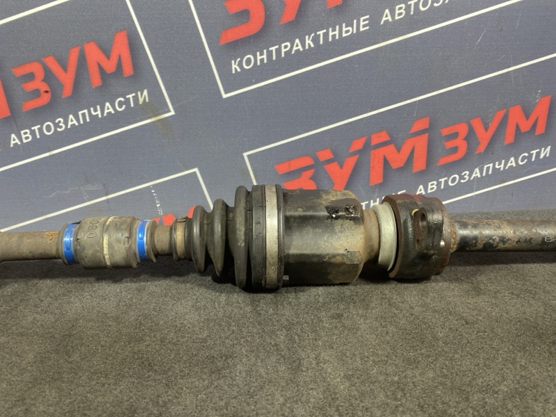 Привод, 4500 рублей, Солонцы
