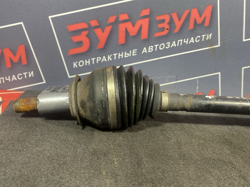 Привод, 6500 рублей, Солонцы