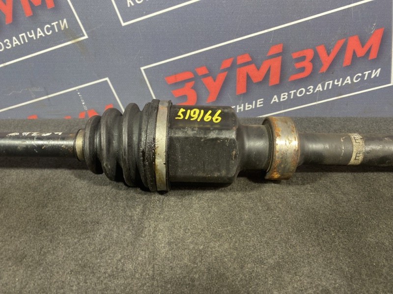 Привод, 6500 рублей, Солонцы