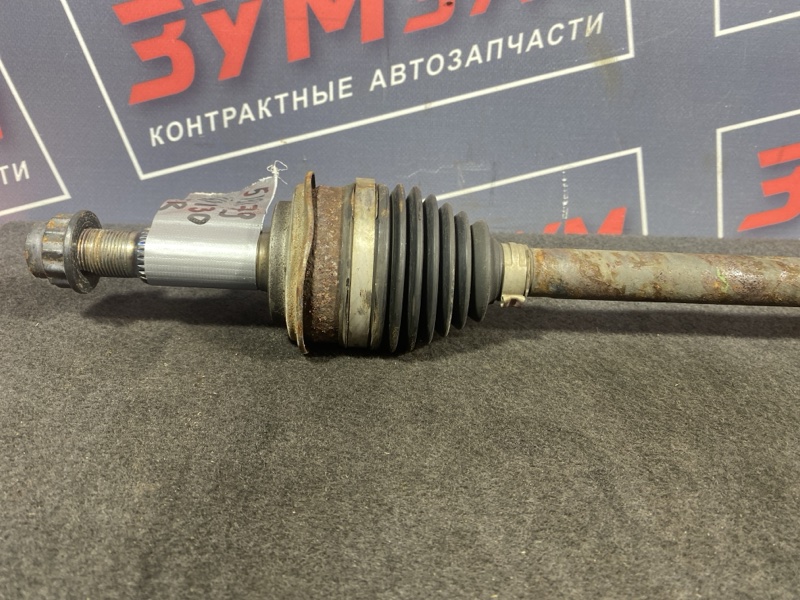 Привод, 3000 рублей, Солонцы