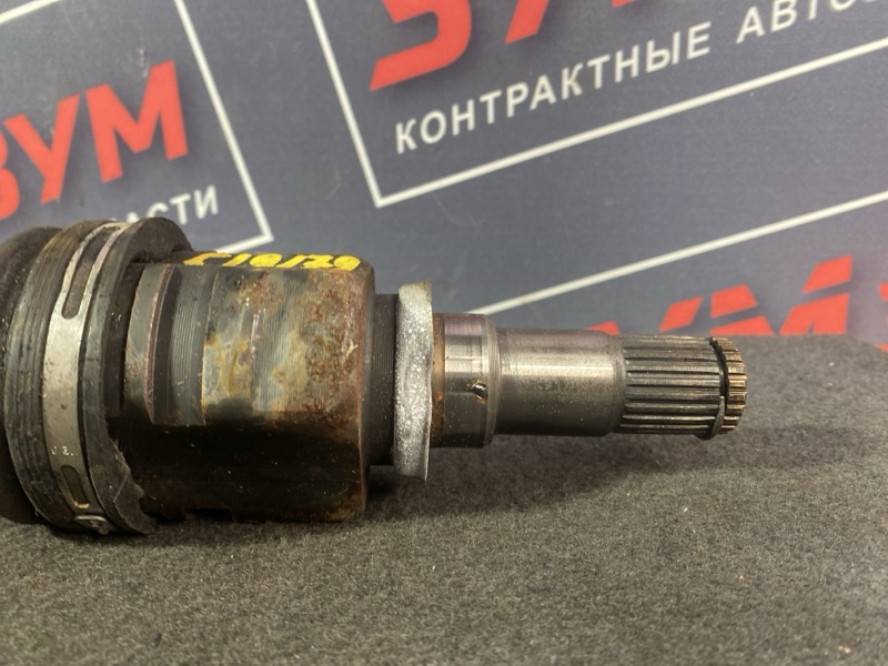 Привод, 3000 рублей, Солонцы