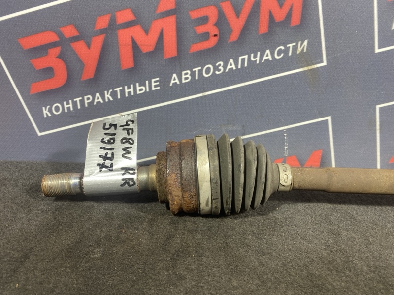 Привод, 3000 рублей, Солонцы