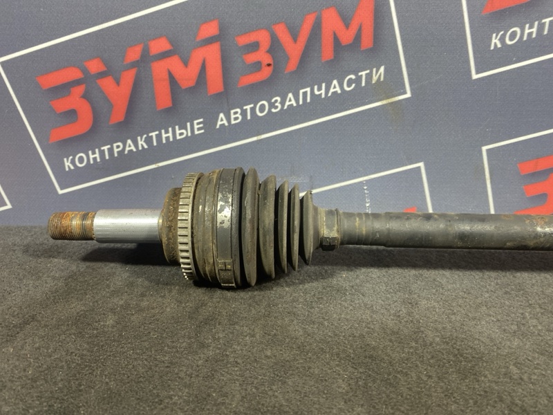 Привод, 1800 рублей, Солонцы
